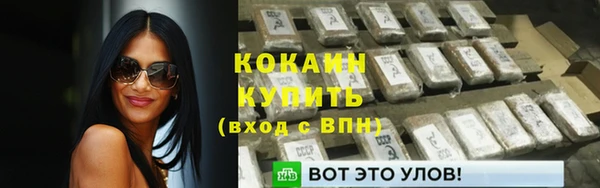 шишки Балабаново