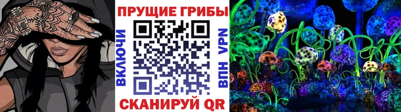 Галлюциногенные грибы Psilocybine cubensis закладка Ступино